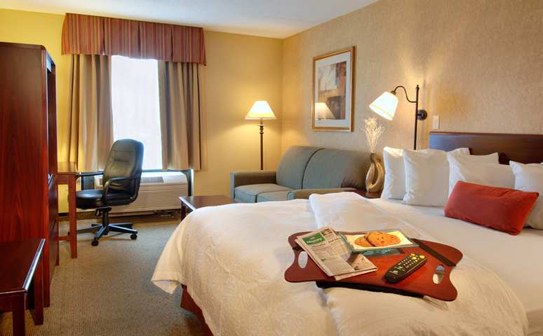 Hampton Inn Washington-Dulles International Airport South Chantilly Szoba fotó